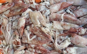 Kalamar Nasıl Yapılır? Tarifi ve Malzemeleri